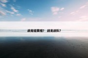战龙组赛程？ 战龙战队？