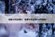 东郡小学足球队？ 东郡小学足球队水平如何？