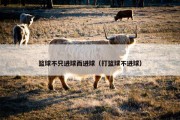 篮球不只进球而进球（打篮球不进球）