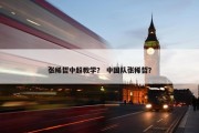 张稀哲中超教学？ 中国队张稀哲？