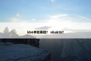 kb6季后赛鞋？ nbakt6？