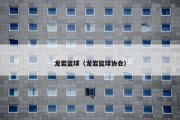 龙岩篮球（龙岩篮球协会）