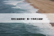 苏州工业园球员？ 看一下苏州工业园？