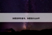 孙葆洁评价皇马，孙葆洁什么水平
