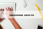 正版欧冠足球训练服，欧冠足球 专用