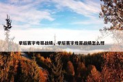 季后赛字母哥战绩，季后赛字母哥战绩怎么样