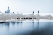 wilkins球员的简单介绍