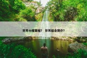 芬芳小嘴赛程？ 芬芳组合简介？