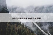 少年足球阵西班牙（电影少年足球）