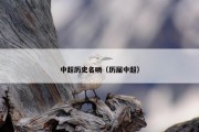 中超历史名哨（历届中超）