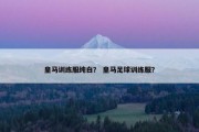 皇马训练服纯白？ 皇马足球训练服？