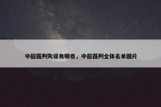 中超裁判失误有哪些，中超裁判全体名单图片