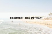 费莱尼进球意义？ 费莱尼是哪个球队的？