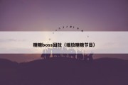 糖糖boss回放（播放糖糖节目）