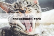 杰梅因琼斯最经典进球，杰梅内斯
