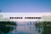 曼城大巴黎石油？ 大巴黎跟曼城谁有钱？