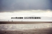 2014荷兰集锦（2014年荷兰国家队）
