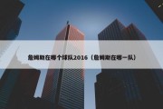詹姆斯在哪个球队2016（詹姆斯在哪一队）
