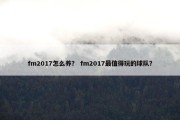 fm2017怎么养？ fm2017最值得玩的球队？