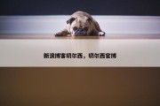 新浪博客切尔西，切尔西官博