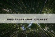 贵州理工足球队教练（贵州理工足球队教练是谁）