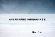 双标志国际联赛图片（双标指的是什么意思）
