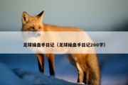 足球操盘手日记（足球操盘手日记200字）