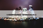 5大联赛看球思路游戏（看球赛的实用小贴士）