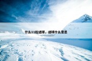 什么11粒进球，进球什么意思