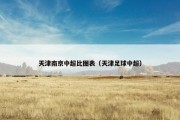 天津南京中超比图表（天津足球中超）