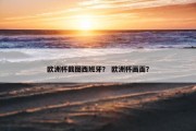 欧洲杯截图西班牙？ 欧洲杯画面？