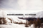 冬奥会烟花去哪里看回放，2022冬奥会烟花