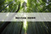 英超火力太猛（英超爆满）