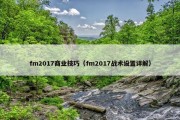 fm2017商业技巧（fm2017战术设置详解）