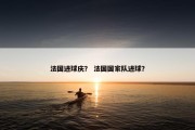 法国进球庆？ 法国国家队进球？