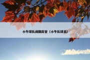 小牛球队闹翻高管（小牛队球员）