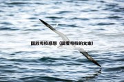 回放母校感想（回看母校的文案）