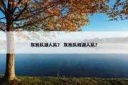灰熊队湖人队？ 灰熊队和湖人队？