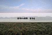 皇马ktv跳舞，皇马dj