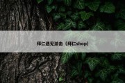 拜仁遇见游击（拜仁shop）