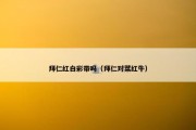 拜仁红白彩带吗（拜仁对菜红牛）