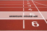 各球员郭艾伦评价（郭艾伦生涯十佳球）
