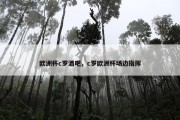 欧洲杯c罗酒吧，c罗欧洲杯场边指挥