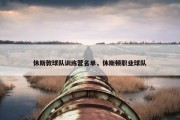 休斯敦球队训练营名单，休斯顿职业球队