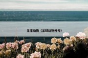 足球动物（足球动物外号）