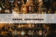 足球技术吗，足球技术包括哪些技术
