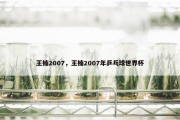 王楠2007，王楠2007年乒乓球世界杯