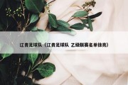 辽青足球队（辽青足球队 乙级联赛名单徐亮）