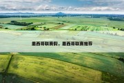 墨西哥联赛假，墨西哥联赛推荐
