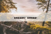 奖牌英语课吗？ 奖牌榜英语？